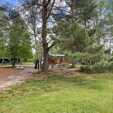 Dans Les Bois Daire *