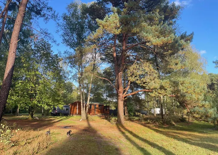 Dans Les Bois Appartement Parigné-lʼÉvêque